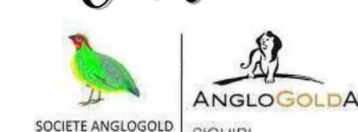 SAG — AngloGold Ashanti